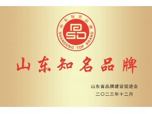 山东知名品牌